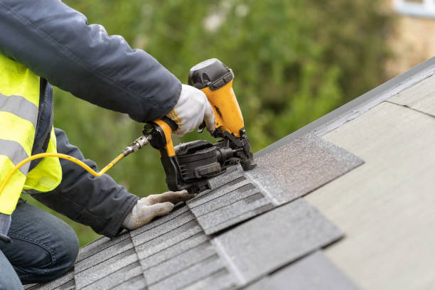 Best Roof Moss and Algae Removal  in Kernersville, NC